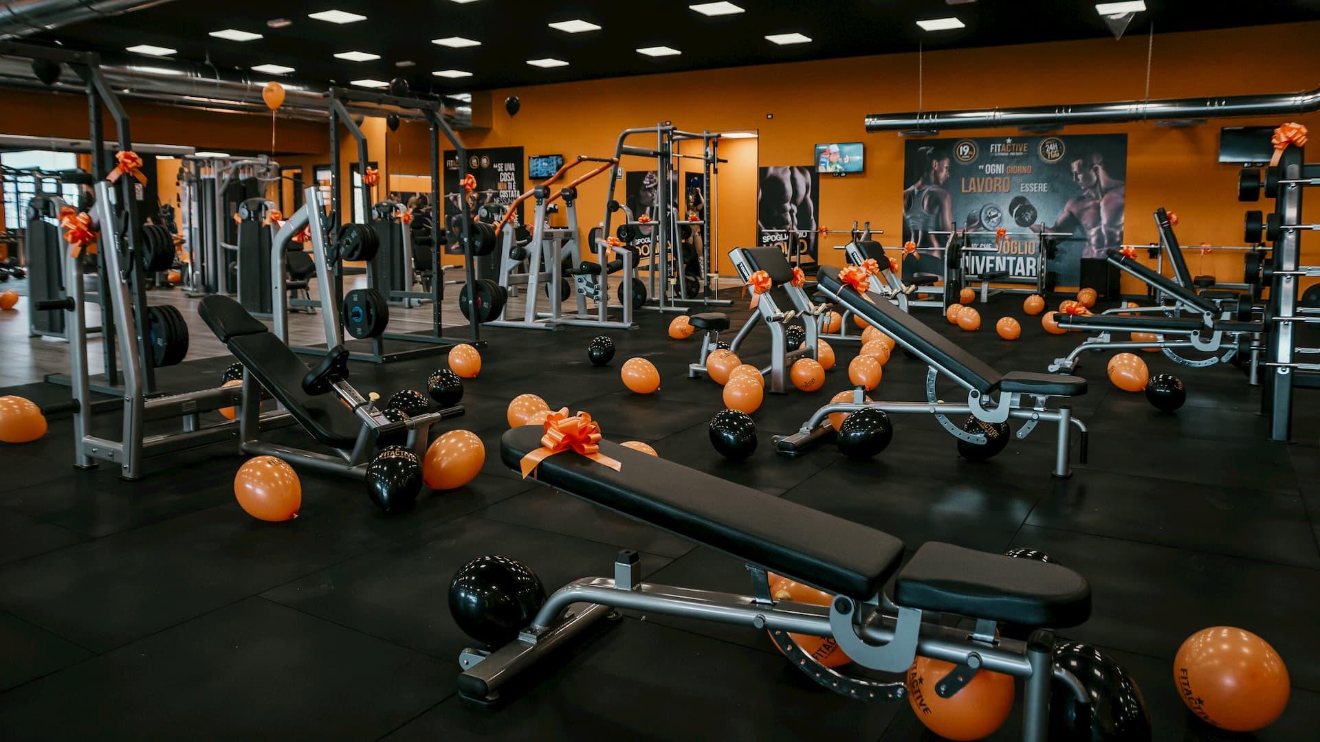 FitActive Alessandria cover