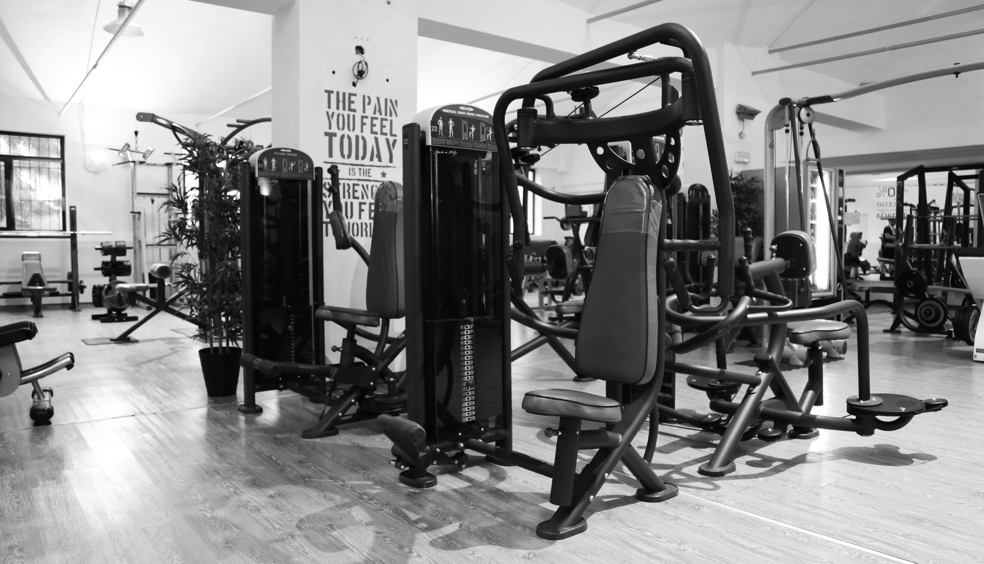 Copertina di ActionFit Carate Brianza