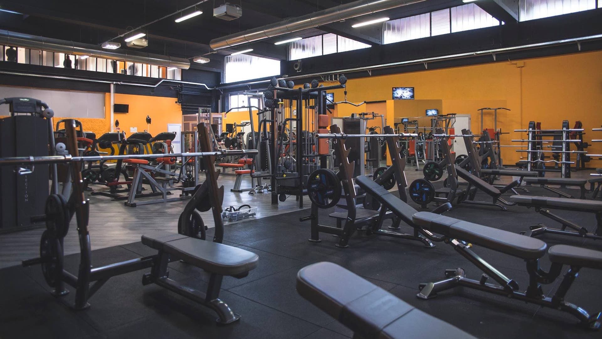 FitActive Lainate cover