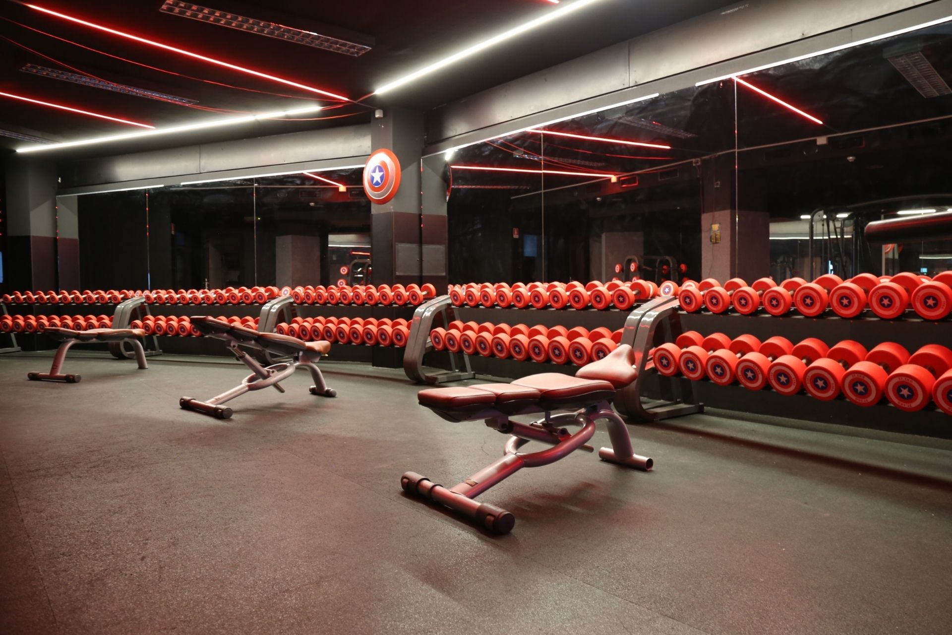 Copertina di ActionFit Cinisello Testi